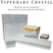 TIPPERARY CRYSTAL LETTER "D" PENDANT SILVER - Image 2