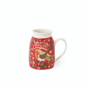 Christmas Robin Santa Set